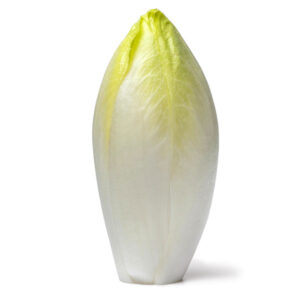 Endibia