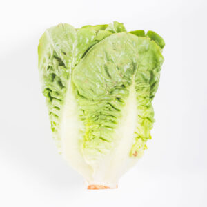 Lechuga romana