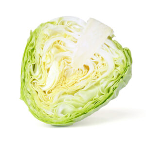 Repollo