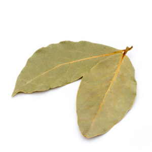 Laurel
