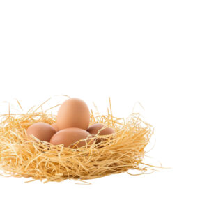 Huevos ecológicos