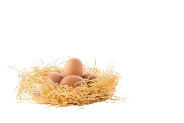 Huevos ecológicos