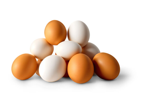 Huevos Alimentación Maíz