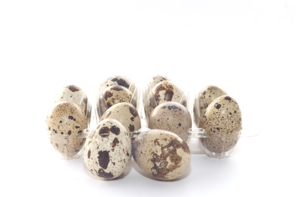 Huevos de codorniz