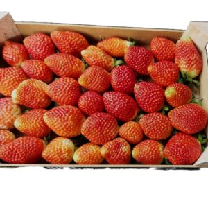 fresas en una caja