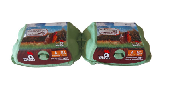 Huevos camperos