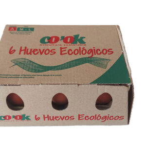 Huevos ecológicos