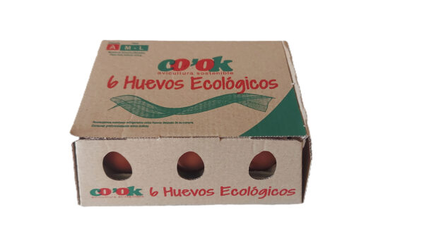 Huevos ecológicos