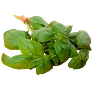 Albahaca