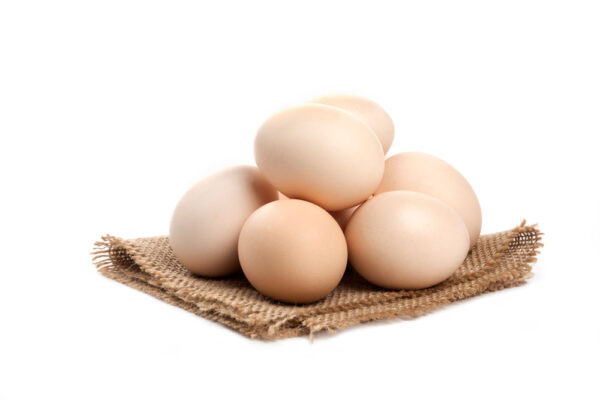 Huevos camperos