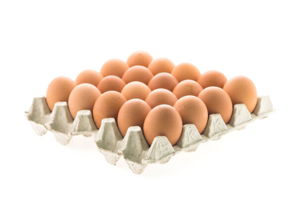 Huevos frescos