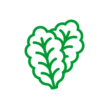 icono de unas hojas de lechuga