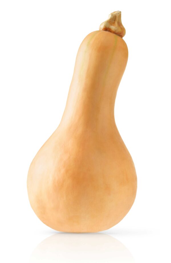 Calabaza