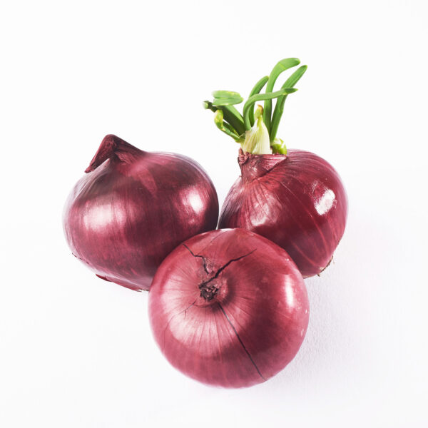 Cebolla roja