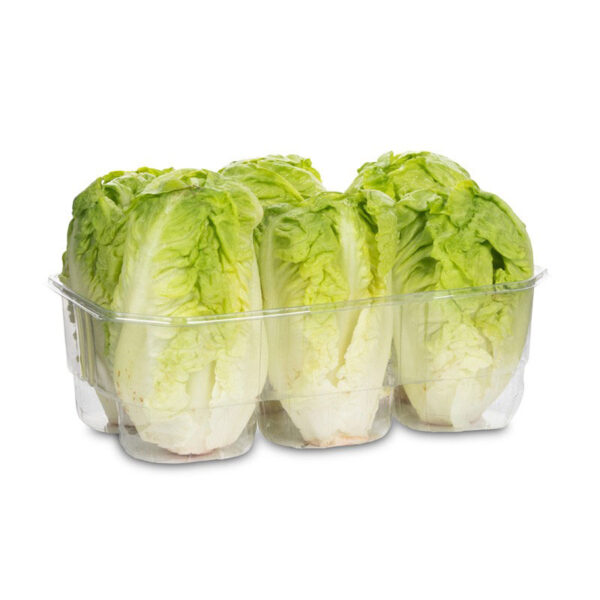 Corazones de lechuga